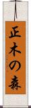 正木の森 Scroll