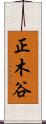 正木谷 Scroll