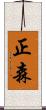 正森 Scroll