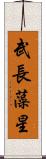 武長藻星 Scroll