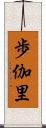 歩伽里 Scroll