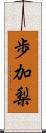 歩加梨 Scroll