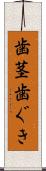 歯茎 Scroll