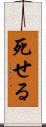 死せる Scroll