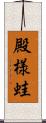 殿様蛙 Scroll