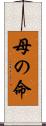 母の命 Scroll