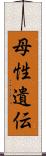 母性遺伝 Scroll