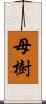 母樹 Scroll