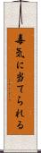 毒気に当てられる Scroll