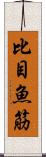 比目魚筋 Scroll