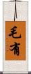 毛有 Scroll