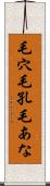 毛穴 Scroll