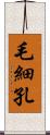 毛細孔 Scroll