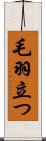 毛羽立つ Scroll