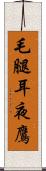 毛腿耳夜鷹 Scroll