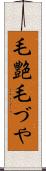 毛艶 Scroll