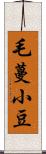 毛蔓小豆 Scroll