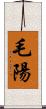 毛陽 Scroll