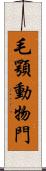 毛顎動物門 Scroll