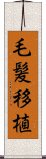 毛髪移植 Scroll