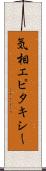 気相エピタキシー Scroll