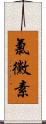 氯黴素 Scroll