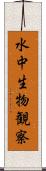 水中生物観察 Scroll