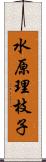 水原理枝子 Scroll