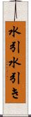 水引 Scroll