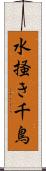 水掻き千鳥 Scroll