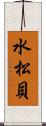 水松貝 Scroll