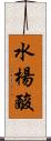 水楊酸 Scroll