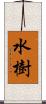水樹 Scroll