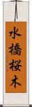 水橋桜木 Scroll