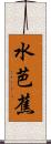 水芭蕉 Scroll