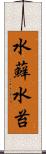水蘚 Scroll