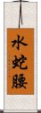 水蛇腰 Scroll
