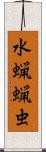 水蝋蝋虫 Scroll
