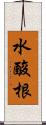 水酸根 Scroll