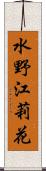 水野江莉花 Scroll