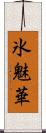 氷魅華 Scroll