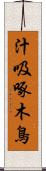 汁吸啄木鳥 Scroll