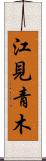 江見青木 Scroll