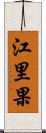 江里果 Scroll