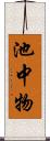 池中物 Scroll