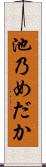 池乃めだか Scroll