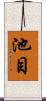 池目 Scroll