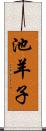 池羊子 Scroll