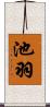 池羽 Scroll