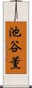 池谷薫 Scroll